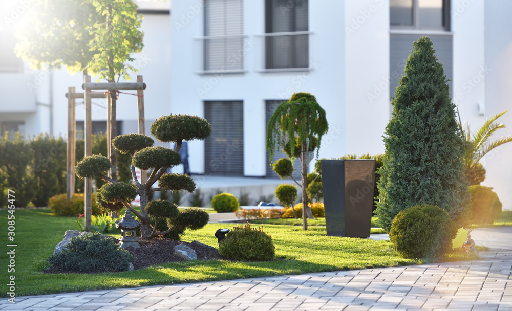 Beautiful modern flowerbed with coniferous bushes and a bonsai tree on the background of the exterio