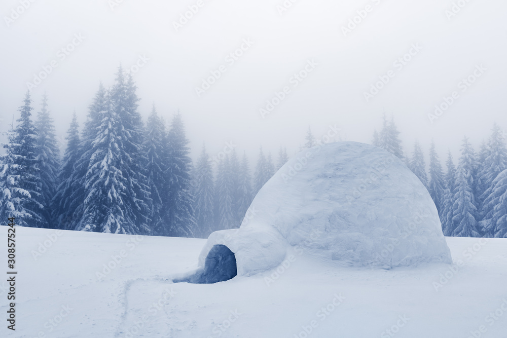 冬季山脉中真正的雪屋。背景是白雪覆盖的冷杉。雾蒙蒙的森林智慧