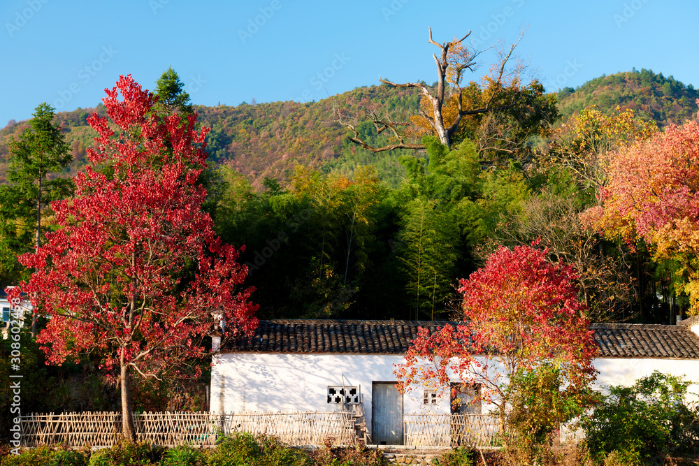 Hui-style architectures in fall forest on the hillside of China.
