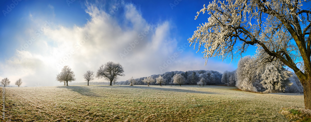 神奇的冬季全景景观