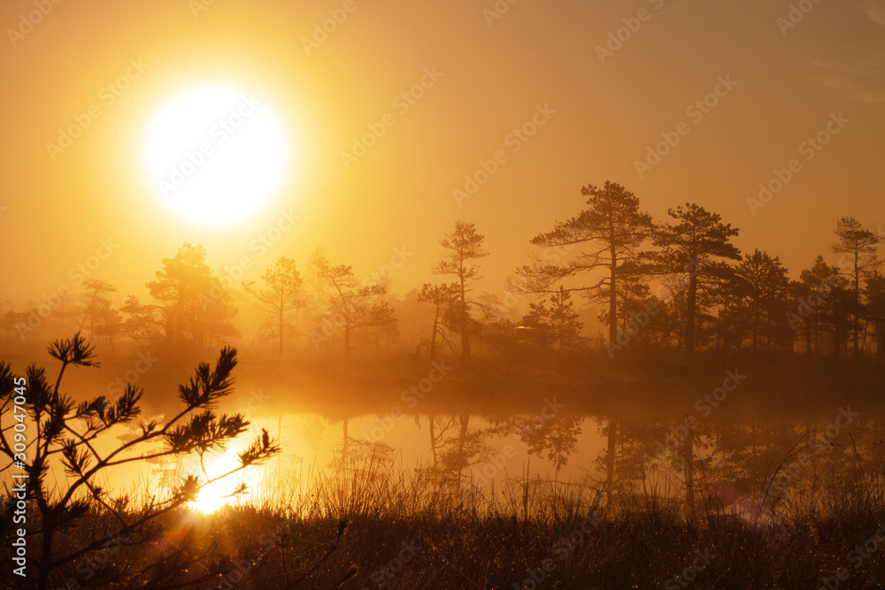 泰加森林湖面上朦胧的日出