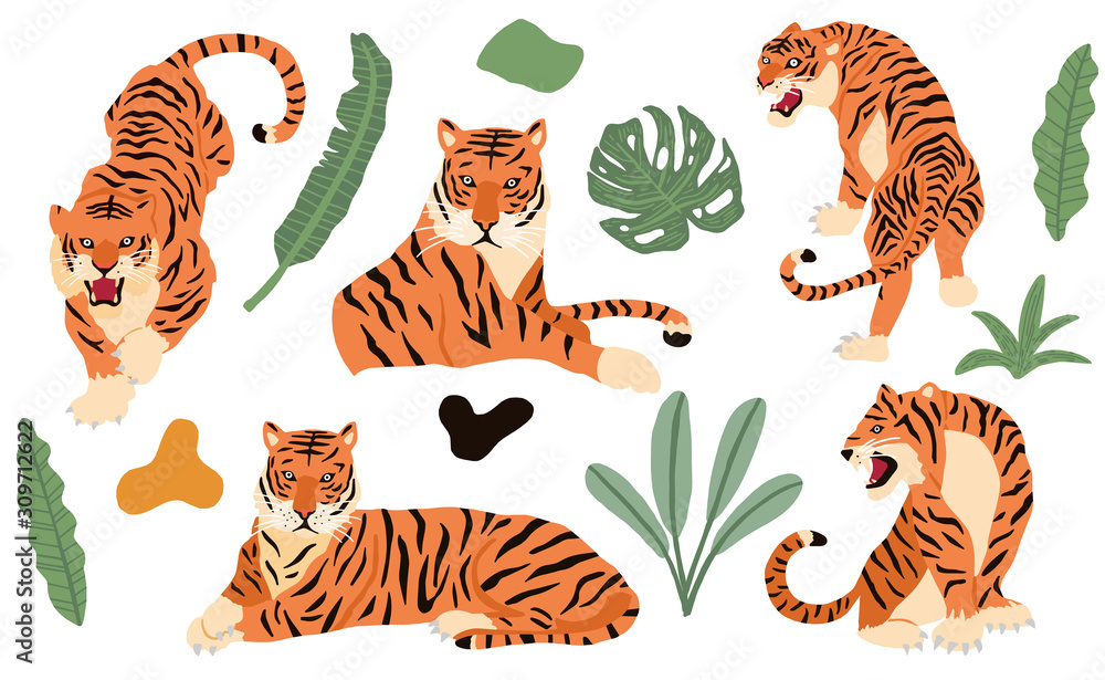 豹子、老虎的可爱动物物品系列。图标、标志、贴纸插图，可打印