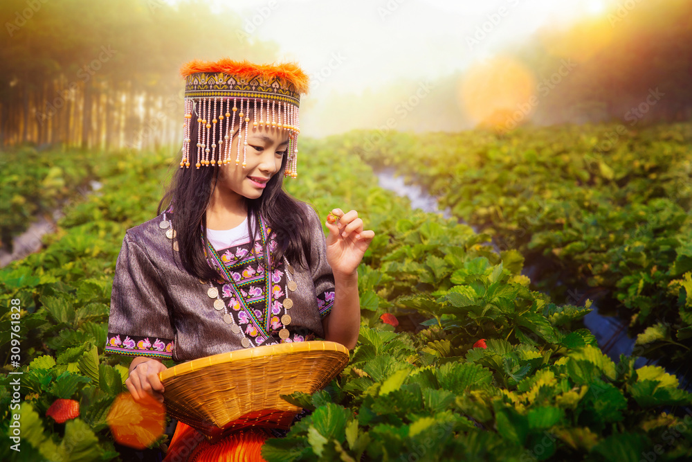 身穿清迈传统服饰的泰国女孩在草莓农场工作