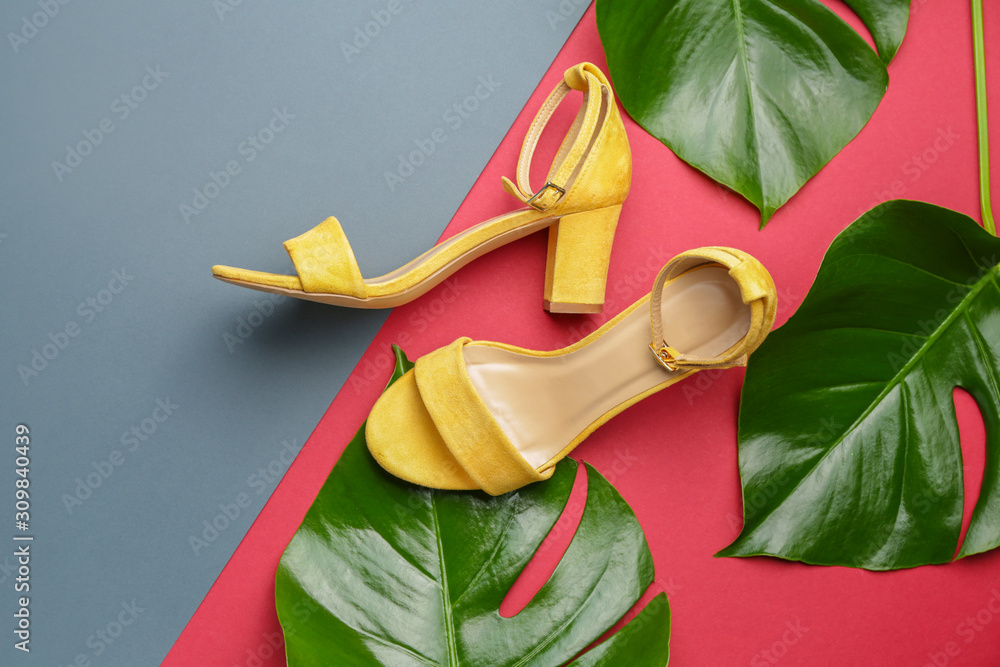 时尚女鞋和彩色背景的热带树叶