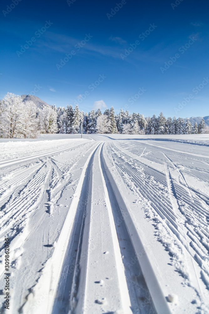 冬季越野滑雪道景观
