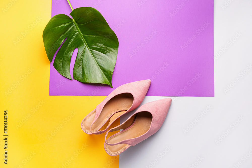 时尚女鞋和彩色背景上的热带树叶