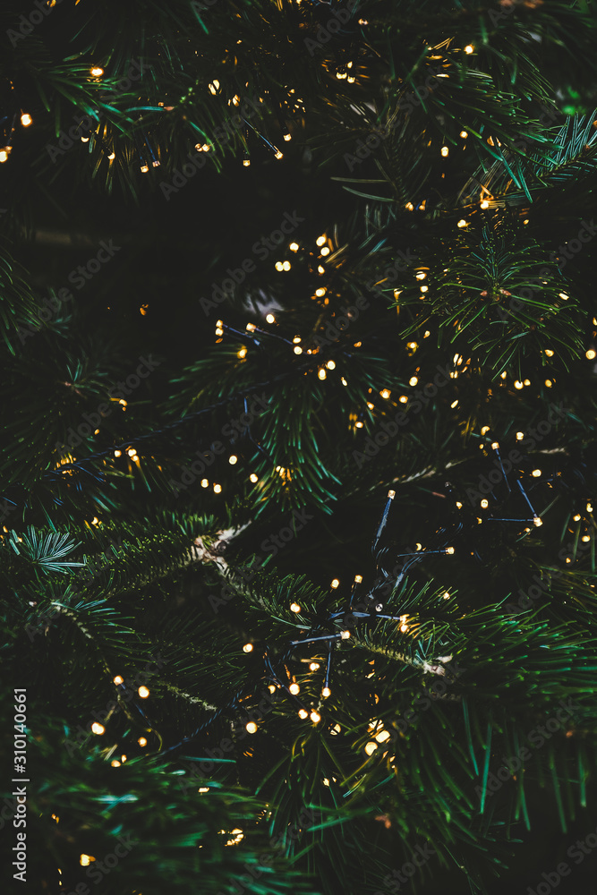 圣诞或新年贺卡背景、纹理和壁纸。绿色节日毛皮树纹理