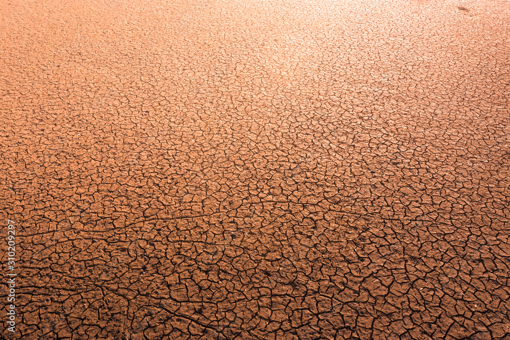 全球变暖对阳光开裂的土壤的影响以及所有动植物的损失。