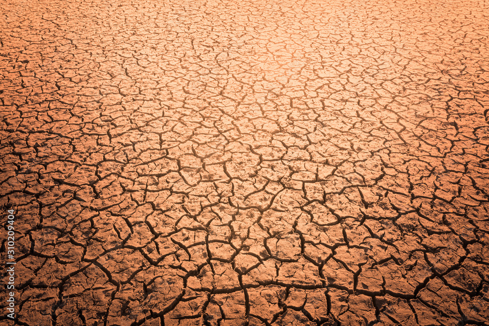 全球变暖对阳光开裂的土壤的影响以及所有动植物的损失。