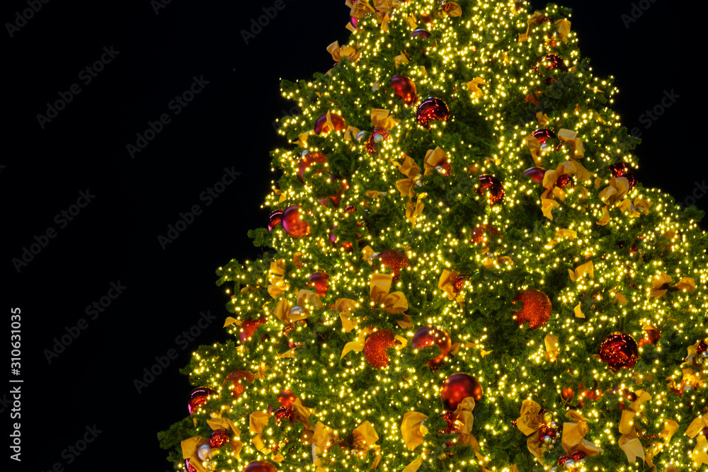 Lighting bulb and decorative pine tree in Merry Christmas and Happy New Year at  the night for abstr