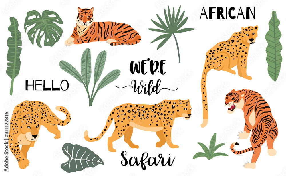 豹子、老虎的可爱动物物品系列。图标、标志、贴纸插图，可打印。包括在内