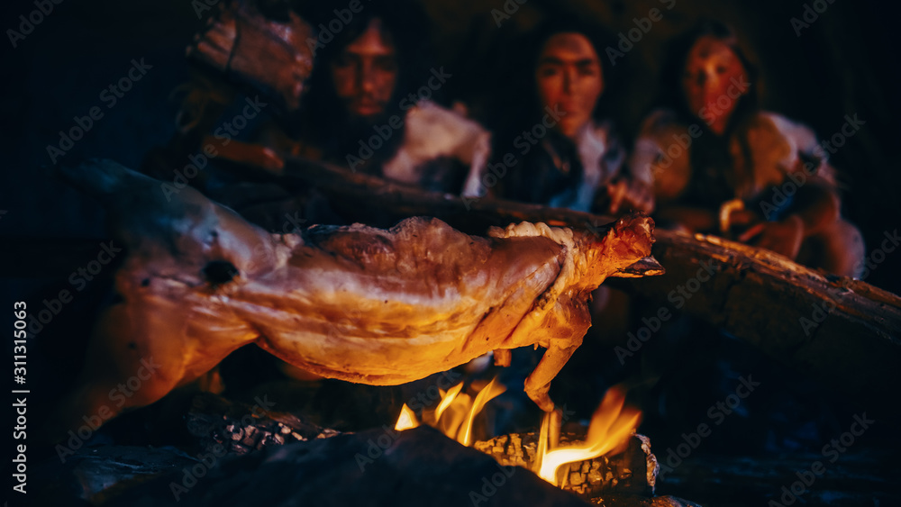 智人家族在篝火上烹饪动物肉然后食用的特写镜头。P部落