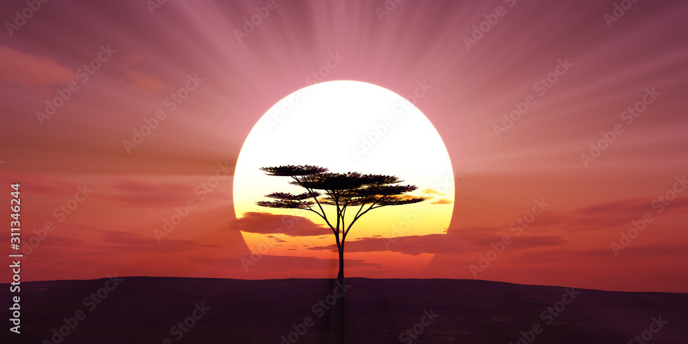 大太阳日落树景观，3d插图