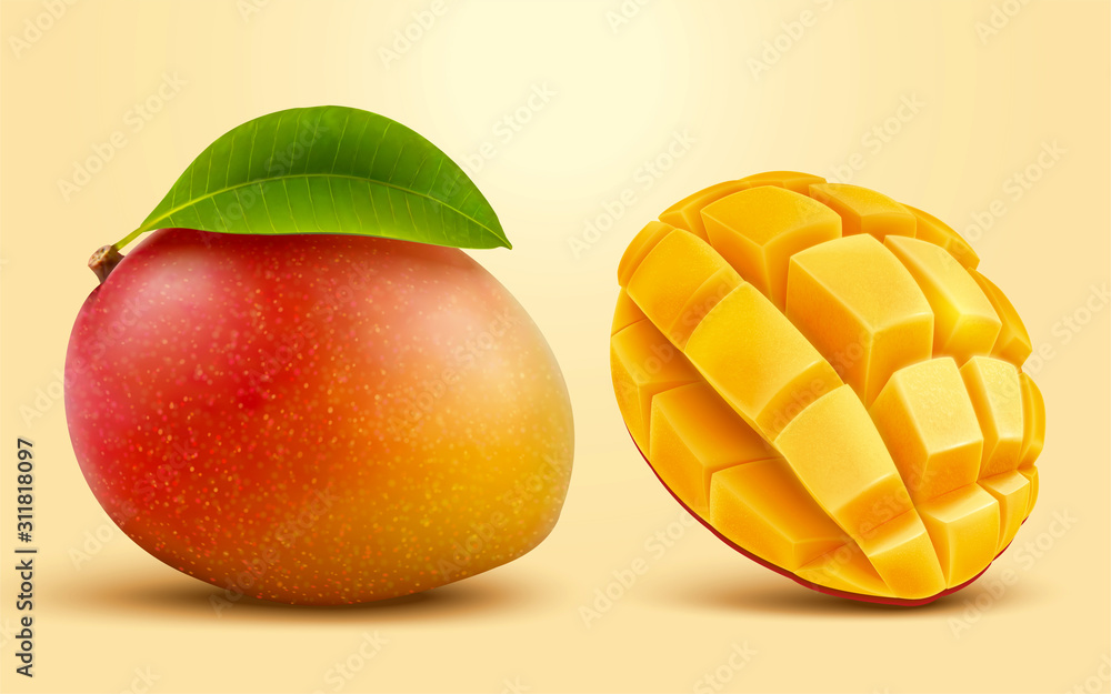芒果果3d插图