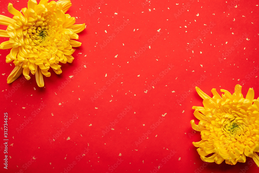 美丽的金黄色菊花洒在红纸上