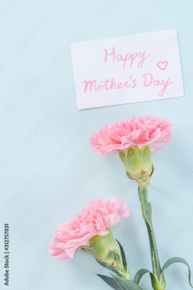 美丽、优雅的粉色康乃馨花，明亮的浅蓝色餐桌背景，母亲的概念