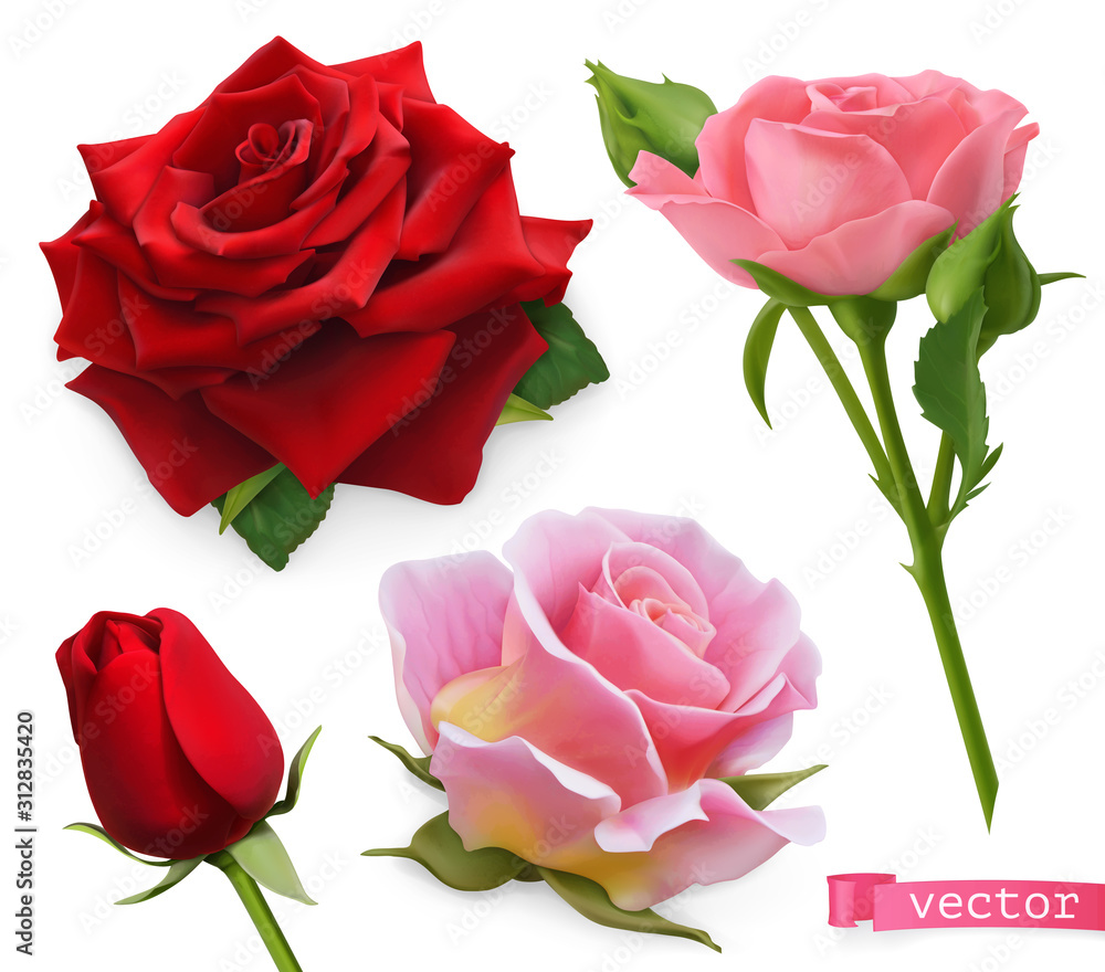 红色和粉色玫瑰。三维逼真向量集