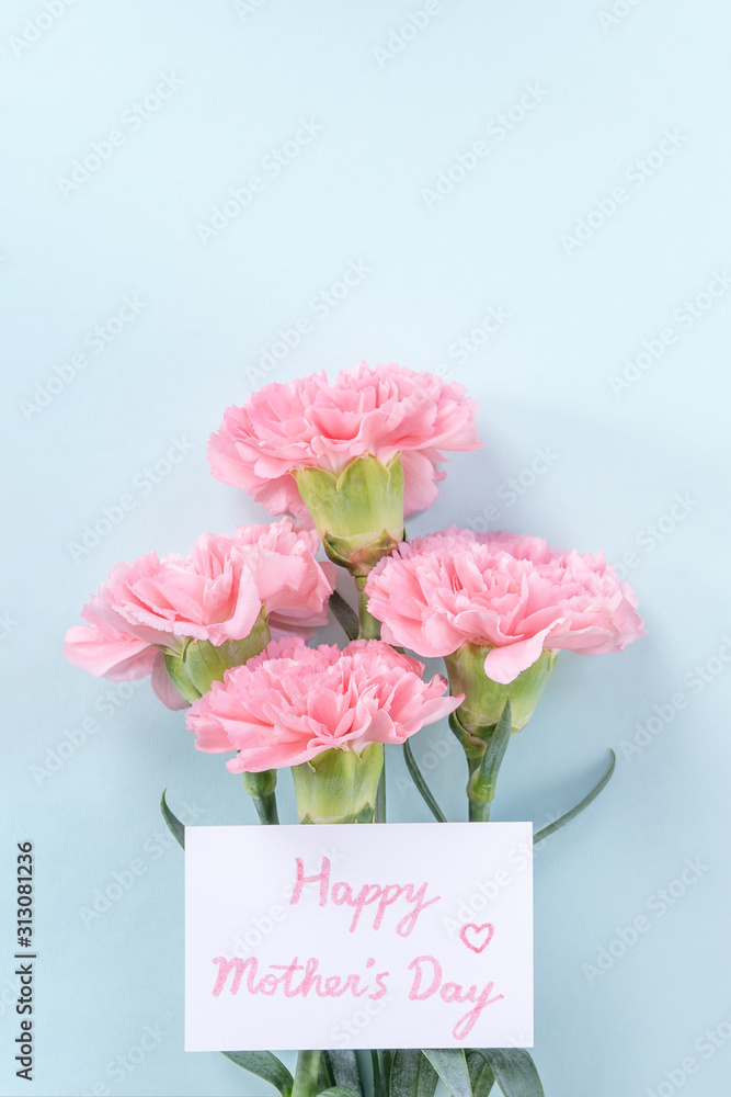 美丽优雅的粉红色康乃馨花，明亮的浅蓝色餐桌背景，母亲的概念