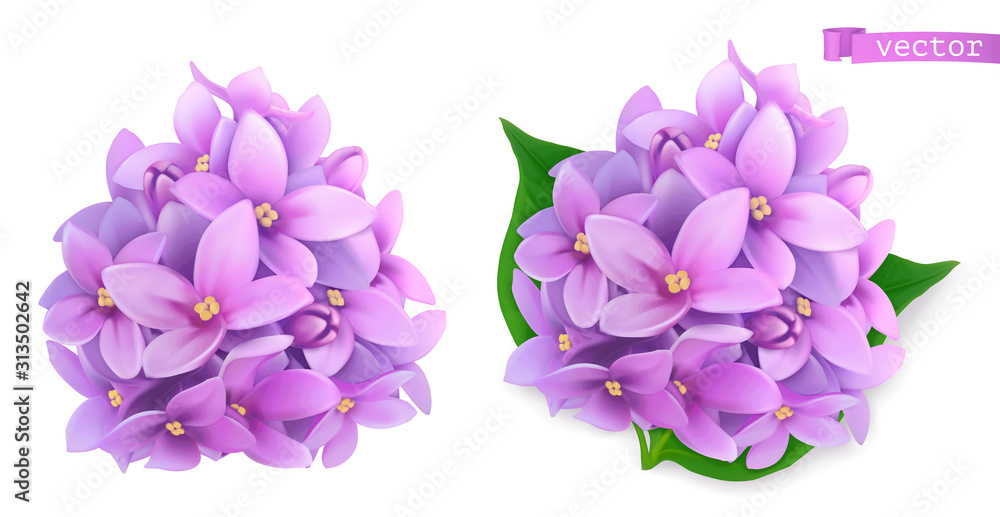 丁香花，淡紫色。三维逼真矢量图标