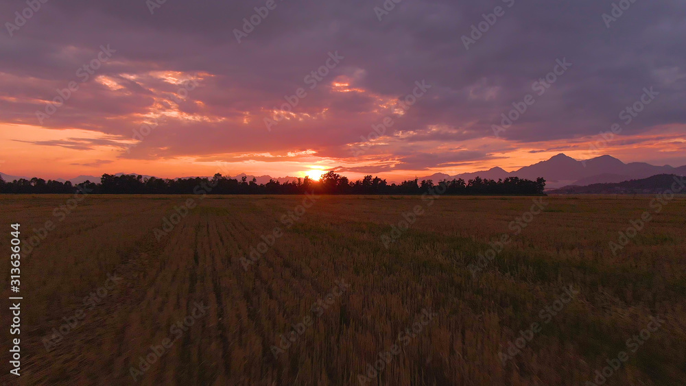 航空：金色的日落温柔地照亮了斯洛文尼亚宁静的农田。