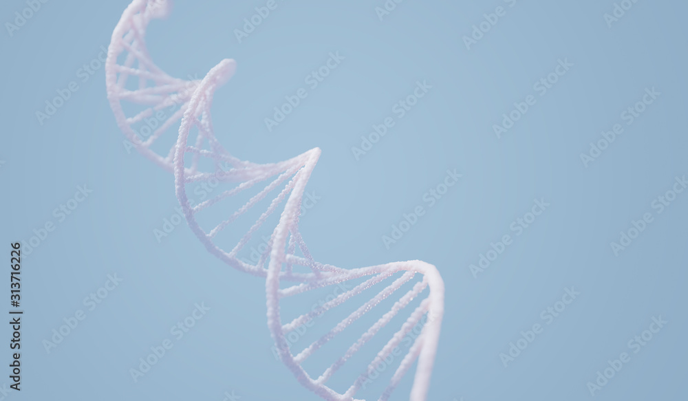 DNA复合物螺旋结构