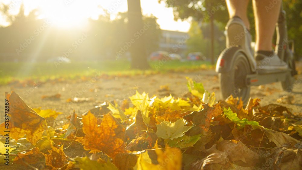镜头闪光：金色的阳光照射在一堆树叶上，一名男子骑着摩托车在上面行驶