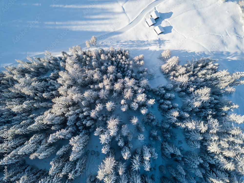 在宁静的冬季景观中俯瞰白雪覆盖的冷杉树。瑞士阿尔卑斯山区