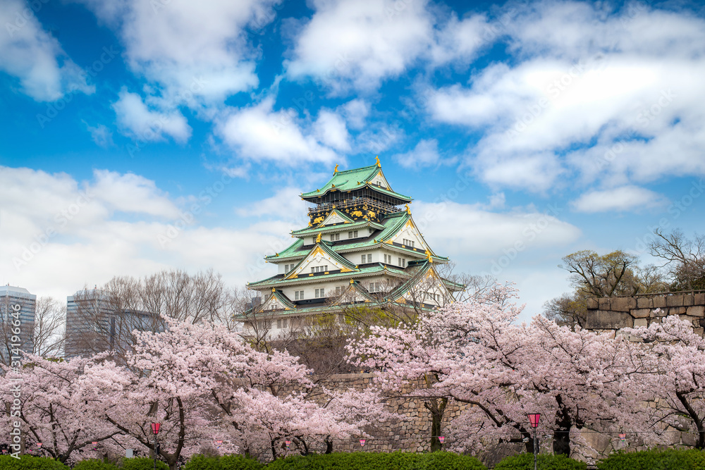 带日本樱花园的大阪城堡和日本大阪的旅游观光。日本之旅
