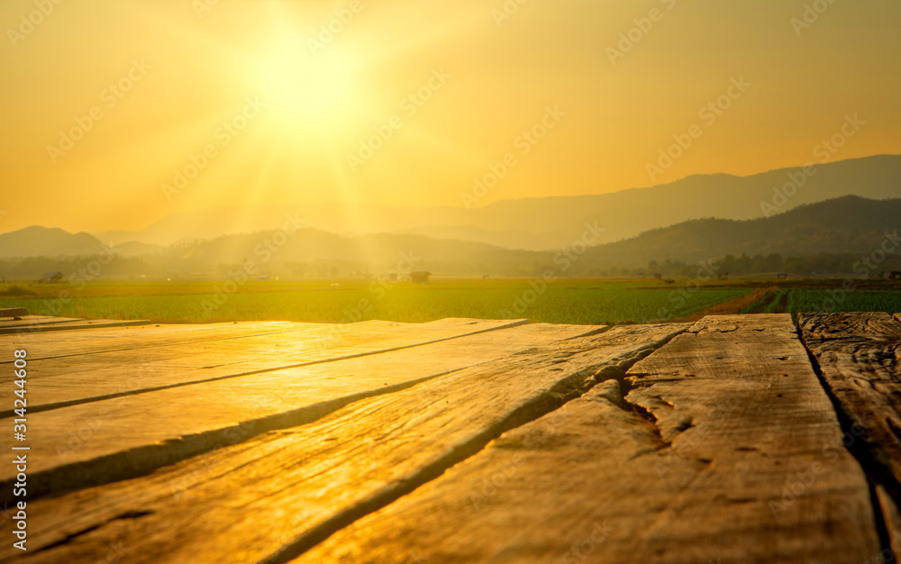 傍晚农田旁的古老棕色木地板，落日余晖