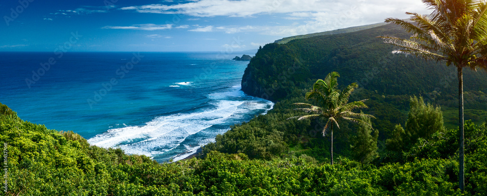 大岛北部海岸全景，陡峭的绿色悬崖和蓝色的太平洋，Haw