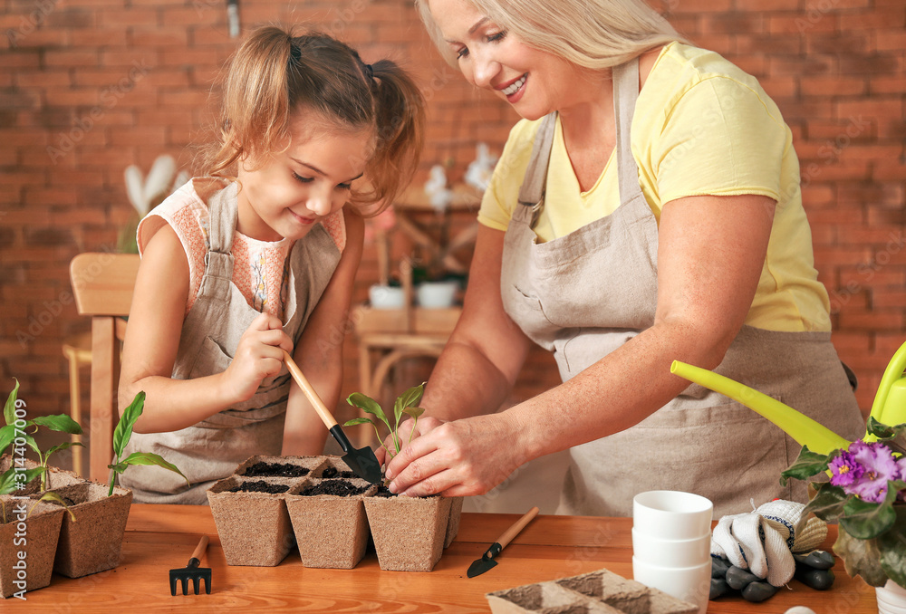 Cute little girl with grandmother setting out young plants in pots at home
