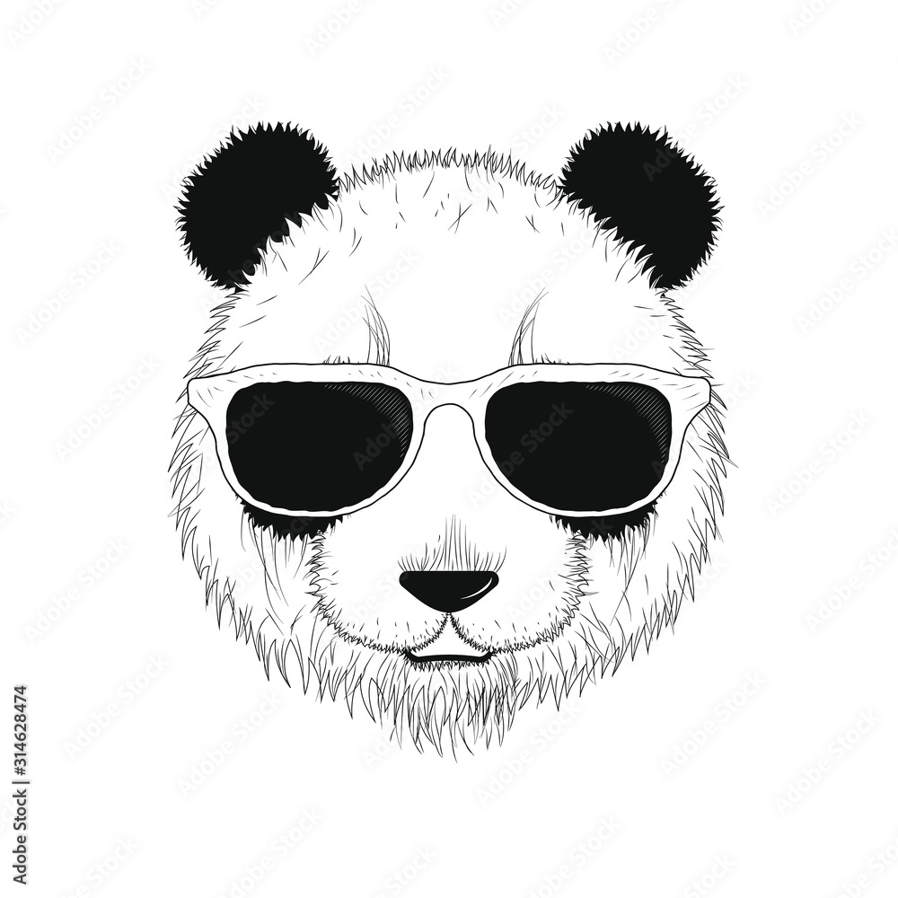 戴着太阳镜的熊猫肖像。