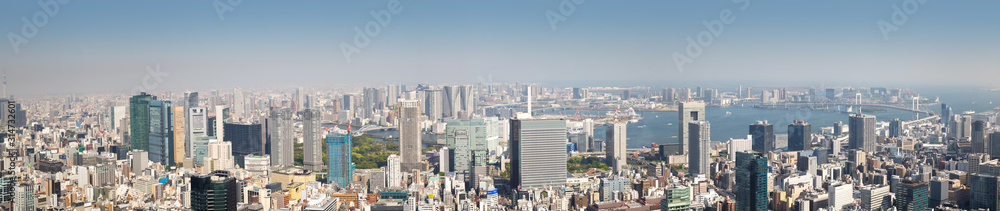 从空中俯瞰日本东京