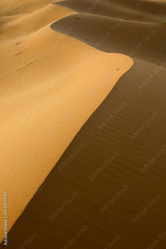 撒哈拉沙漠中的沙丘