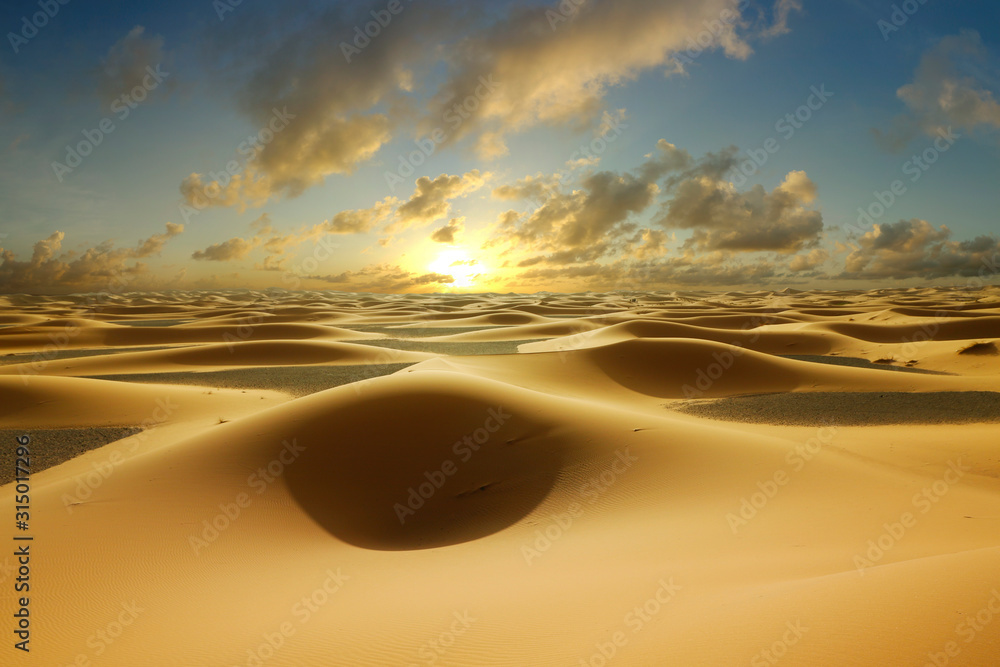 撒哈拉沙漠沙丘上的日落