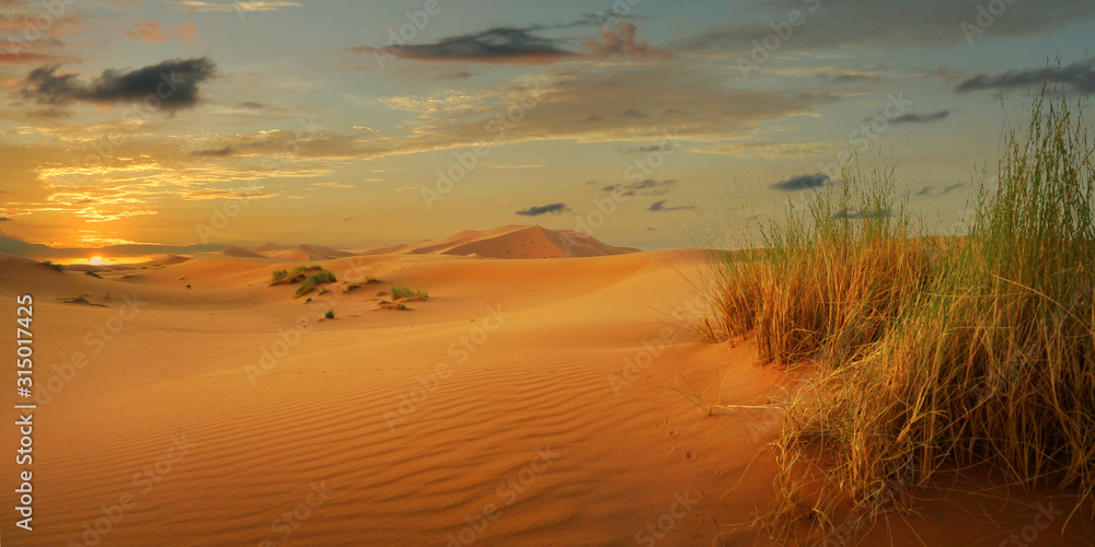 撒哈拉沙漠沙丘上的日落