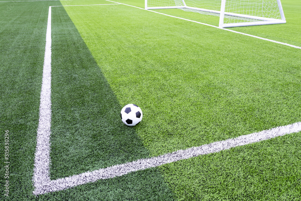 足球运动、足球场、足球场新鲜绿草的美丽图案，