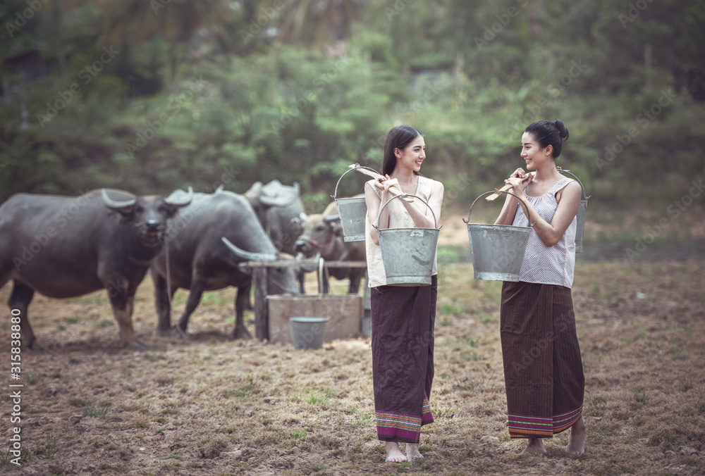 泰国水牛传统文化，泰国