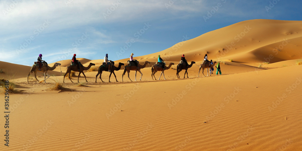 摩洛哥撒哈拉沙漠中的骆驼大篷车