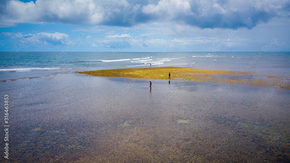 Tourists walking on the exposed coral barrier at Algodões beach, on the Maraú peninsula. Bahia, Braz