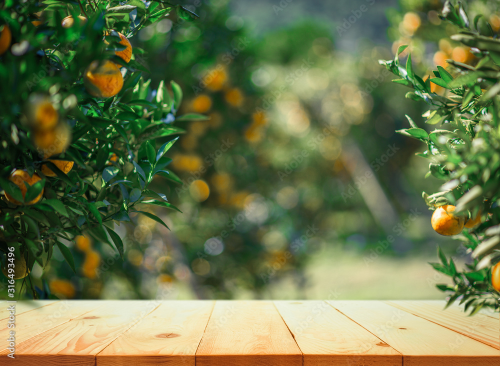 空木桌，橙色树木上有空闲空间，橙色田野背景。用于产品展示mon