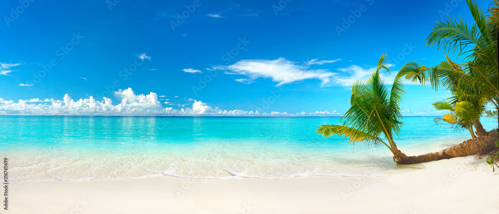 美丽的海滩，白沙，碧绿的海洋，蓝天白云，水面上有棕榈树