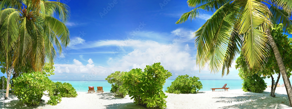 美丽的热带海滩，白色沙滩，棕榈树，海滩日光浴床，背景是绿松石海洋