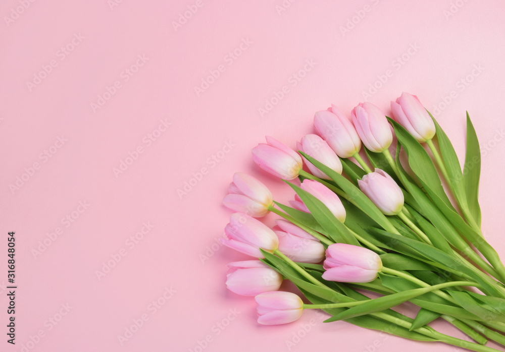 带复制空间的粉色郁金香花朵
