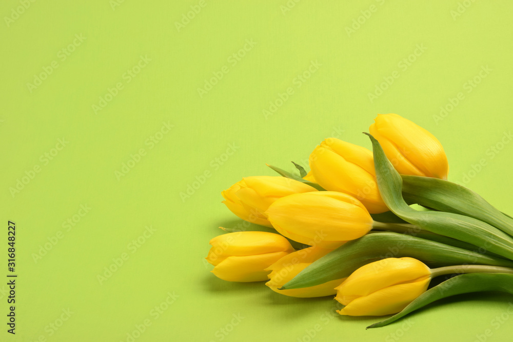 绿色背景下的一束黄色郁金香花
