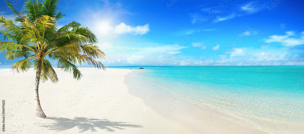 空旷的热带岛屿海滩上美丽的棕榈树，背景是蓝天，白云和土尔