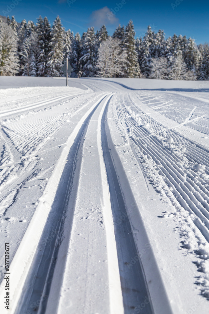 冬季风景中的越野滑雪道