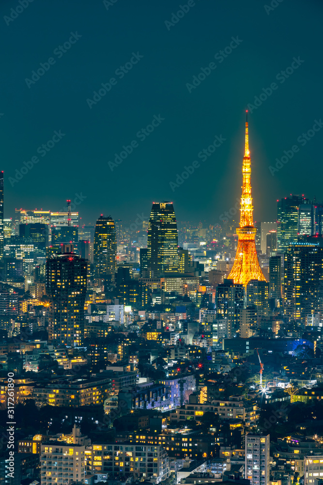 光が溢れる東京の夜景