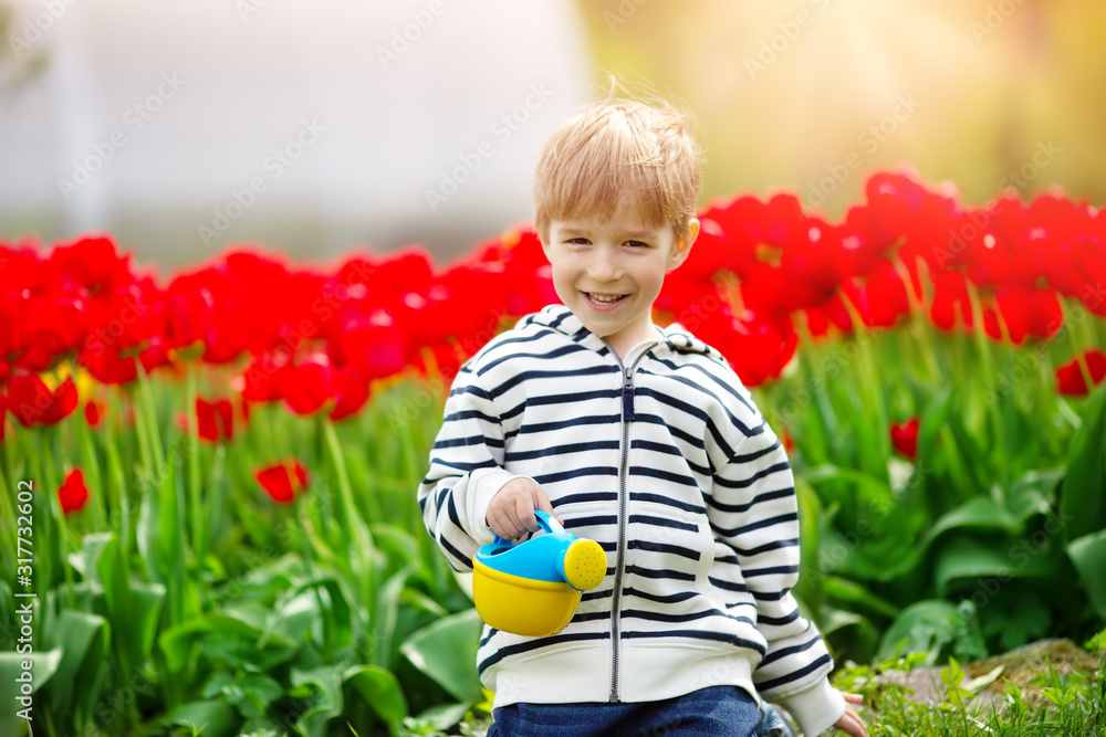 美丽的春天，一个小孩在郁金香旁的花坛里散步