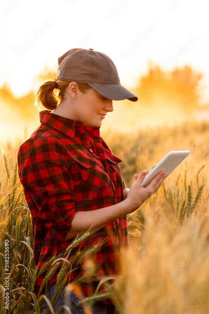一位女农民检查谷物田，并将数据从平板电脑发送到云端。智能农场